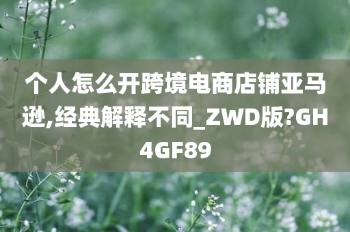 个人怎么开跨境电商店铺亚马逊,经典解释不同_ZWD版?GH4GF89