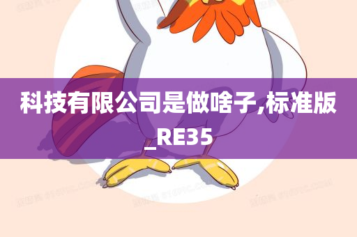 科技有限公司是做啥子,标准版_RE35