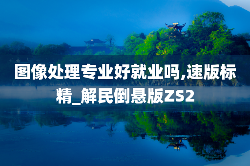 图像处理专业好就业吗,速版标精_解民倒悬版ZS2