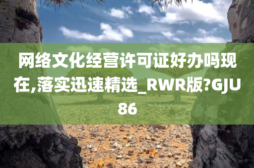 网络文化经营许可证好办吗现在,落实迅速精选_RWR版?GJU86