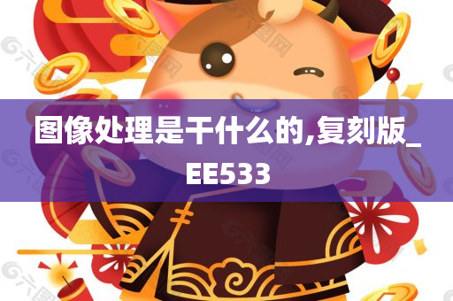 图像处理是干什么的,复刻版_EE533