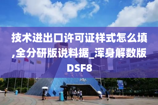 技术进出口许可证样式怎么填,全分研版说料据_浑身解数版DSF8