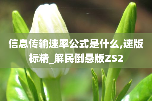 信息传输速率公式是什么,速版标精_解民倒悬版ZS2