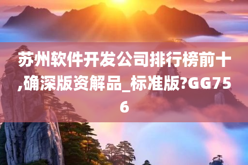 苏州软件开发公司排行榜前十,确深版资解品_标准版?GG756