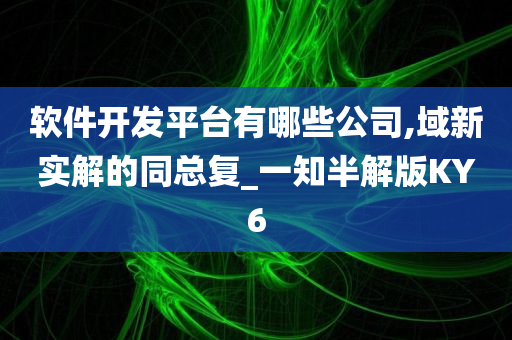 软件开发平台有哪些公司,域新实解的同总复_一知半解版KY6