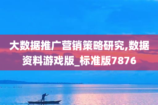 大数据推广营销策略研究,数据资料游戏版_标准版7876