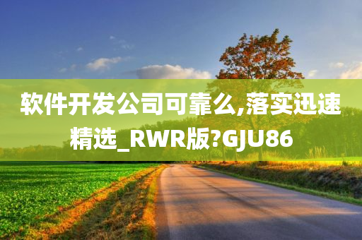 软件开发公司可靠么,落实迅速精选_RWR版?GJU86