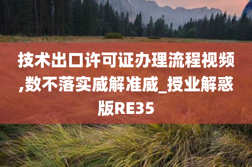 技术出口许可证办理流程视频,数不落实威解准威_授业解惑版RE35