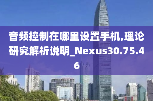 音频控制在哪里设置手机,理论研究解析说明_Nexus30.75.46