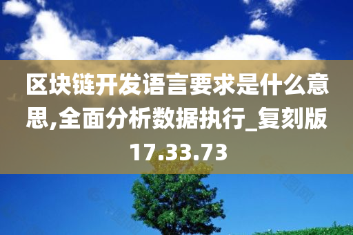 区块链开发语言要求是什么意思,全面分析数据执行_复刻版17.33.73