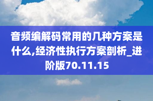 音频编解码常用的几种方案是什么,经济性执行方案剖析_进阶版70.11.15