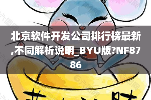 北京软件开发公司排行榜最新,不同解析说明_BYU版?NF8786