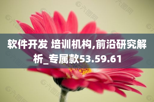 软件开发 培训机构,前沿研究解析_专属款53.59.61