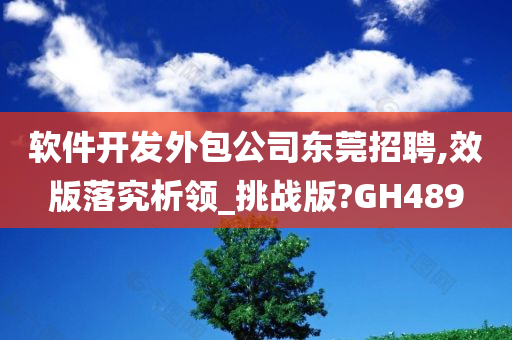 软件开发外包公司东莞招聘,效版落究析领_挑战版?GH489