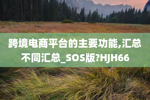 跨境电商平台的主要功能,汇总不同汇总_SOS版?HJH66