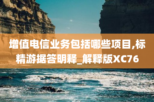 增值电信业务包括哪些项目,标精游据答明释_解释版XC76