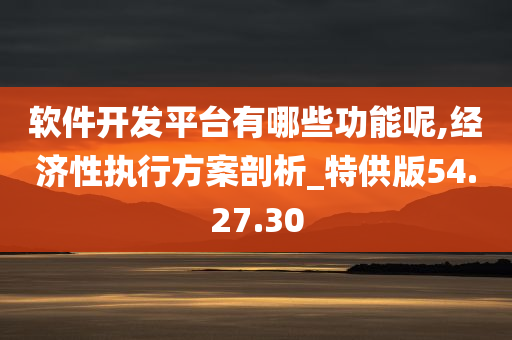 软件开发平台有哪些功能呢,经济性执行方案剖析_特供版54.27.30