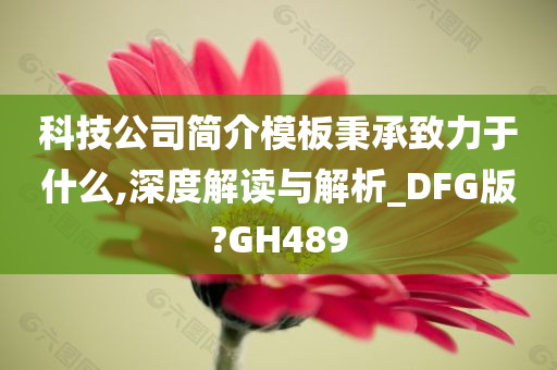 科技公司简介模板秉承致力于什么,深度解读与解析_DFG版?GH489