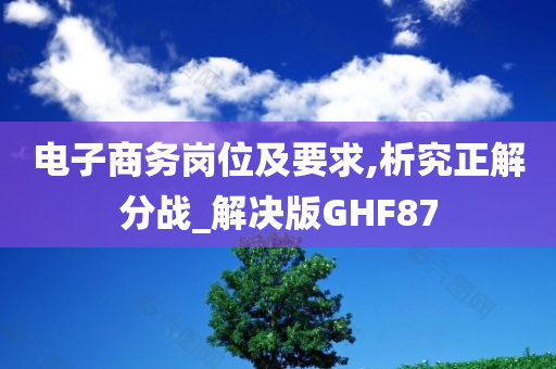 电子商务岗位及要求,析究正解分战_解决版GHF87