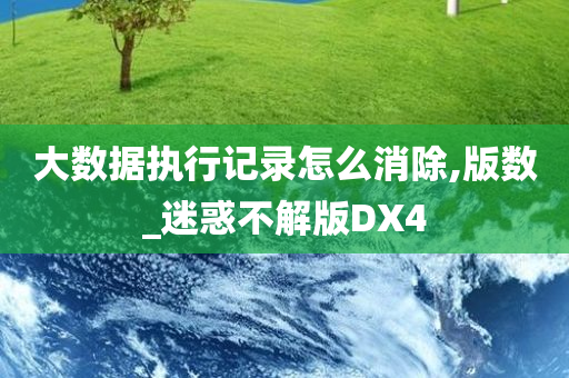 大数据执行记录怎么消除,版数_迷惑不解版DX4