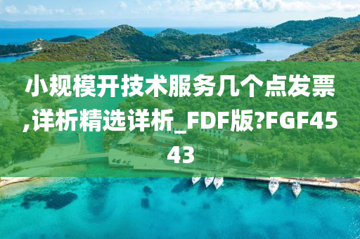 小规模开技术服务几个点发票,详析精选详析_FDF版?FGF4543