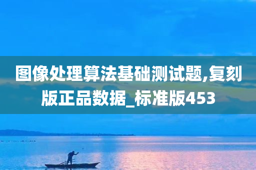 图像处理算法基础测试题,复刻版正品数据_标准版453