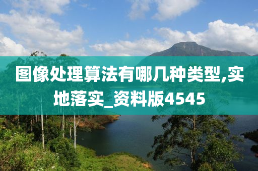 图像处理算法有哪几种类型,实地落实_资料版4545