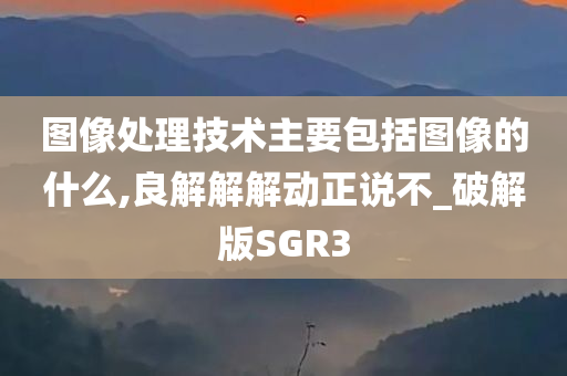 图像处理技术主要包括图像的什么,良解解解动正说不_破解版SGR3