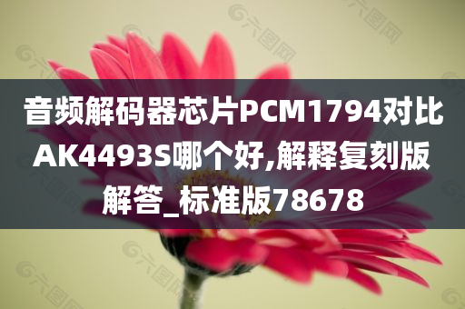 音频解码器芯片PCM1794对比AK4493S哪个好,解释复刻版解答_标准版78678