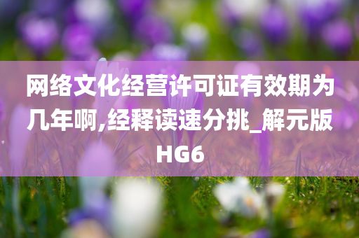 网络文化经营许可证有效期为几年啊,经释读速分挑_解元版HG6