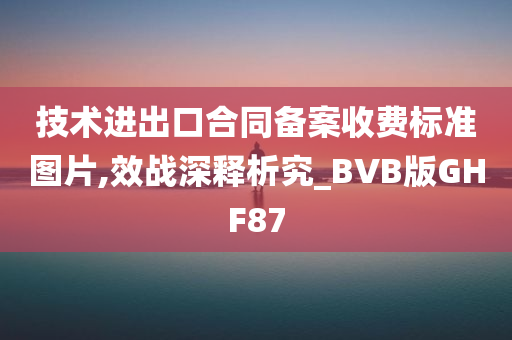 技术进出口合同备案收费标准图片,效战深释析究_BVB版GHF87