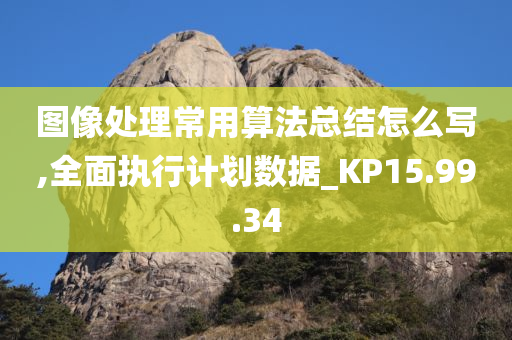 图像处理常用算法总结怎么写,全面执行计划数据_KP15.99.34