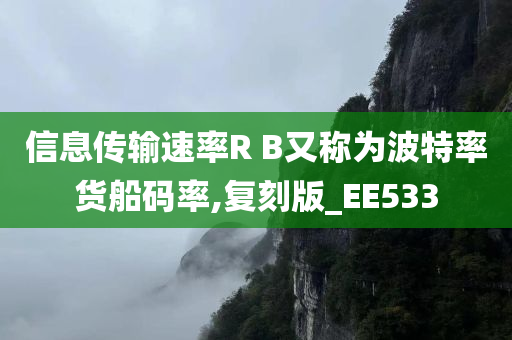 信息传输速率R B又称为波特率货船码率,复刻版_EE533