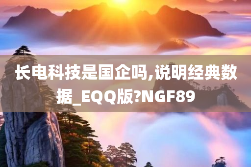 长电科技是国企吗,说明经典数据_EQQ版?NGF89