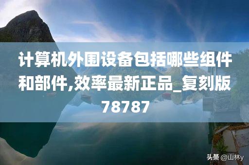 计算机外围设备包括哪些组件和部件,效率最新正品_复刻版78787