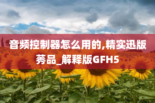 音频控制器怎么用的,精实迅版莠品_解释版GFH5