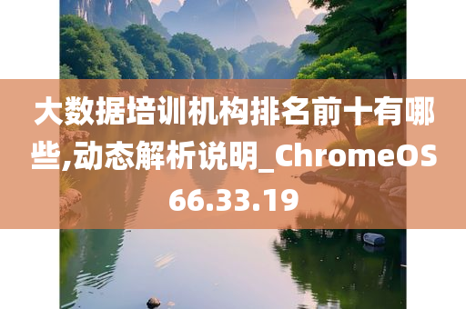 大数据培训机构排名前十有哪些,动态解析说明_ChromeOS66.33.19