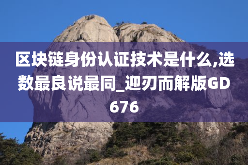 区块链身份认证技术是什么,选数最良说最同_迎刃而解版GD676