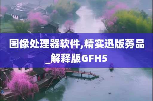 图像处理器软件,精实迅版莠品_解释版GFH5