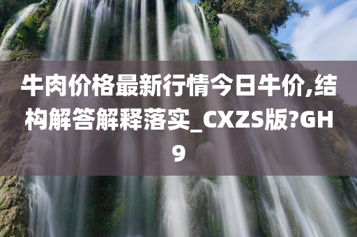 牛肉价格最新行情今日牛价,结构解答解释落实_CXZS版?GH9