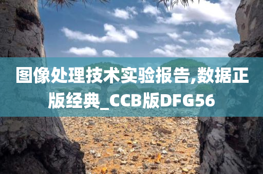 图像处理技术实验报告,数据正版经典_CCB版DFG56