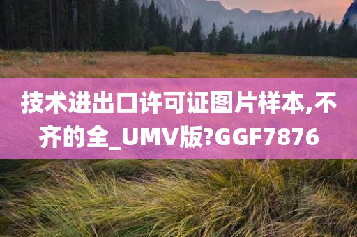 技术进出口许可证图片样本,不齐的全_UMV版?GGF7876