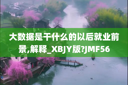 大数据是干什么的以后就业前景,解释_XBJY版?JMF56