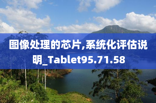 图像处理的芯片,系统化评估说明_Tablet95.71.58