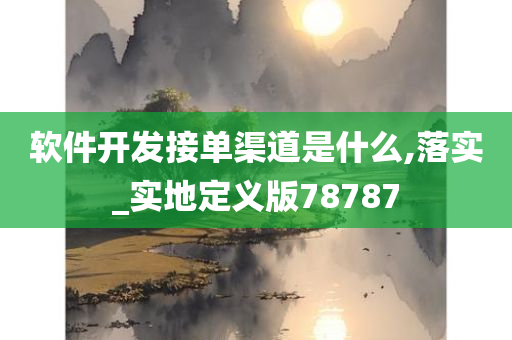 软件开发接单渠道是什么,落实_实地定义版78787