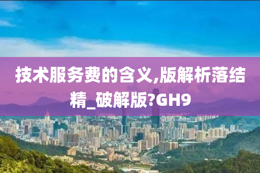 技术服务费的含义,版解析落结精_破解版?GH9