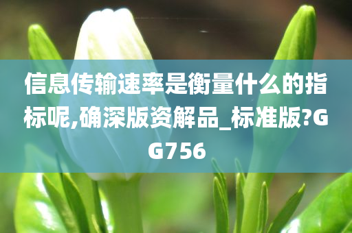 信息传输速率是衡量什么的指标呢,确深版资解品_标准版?GG756