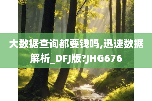 大数据查询都要钱吗,迅速数据解析_DFJ版?JHG676