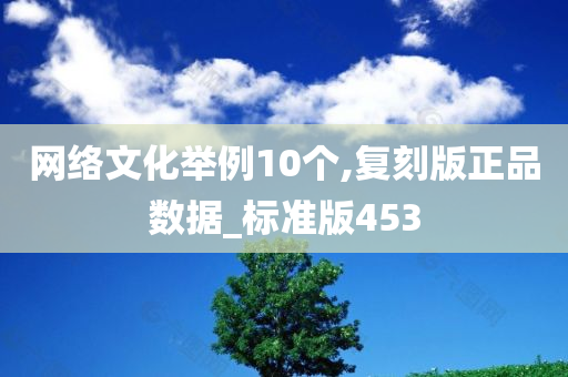 网络文化举例10个,复刻版正品数据_标准版453