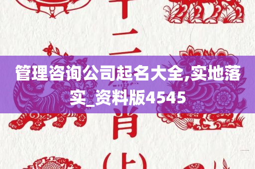 管理咨询公司起名大全,实地落实_资料版4545